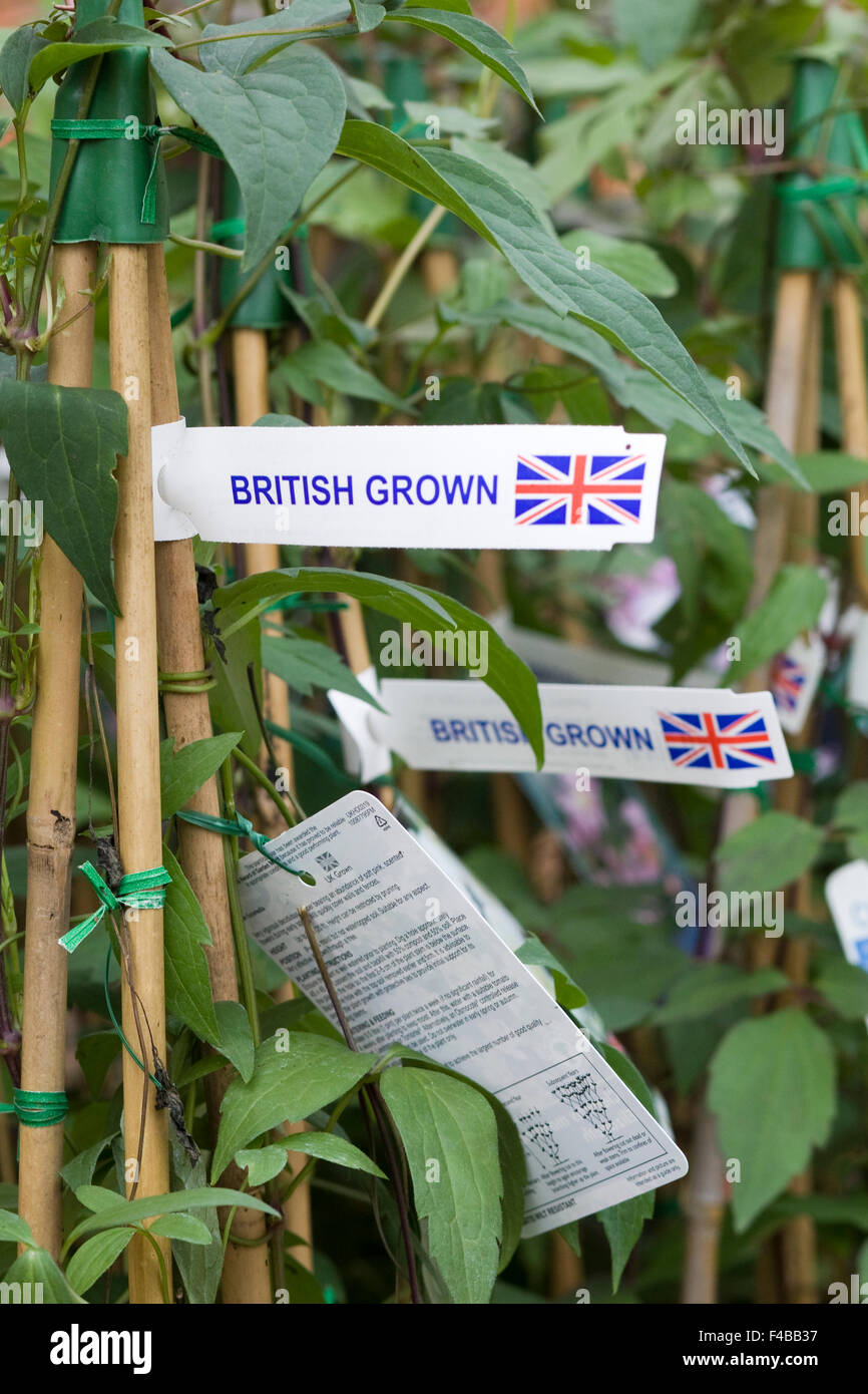 Plastic Tag saying British Grown with a union jack flag Stock Photo