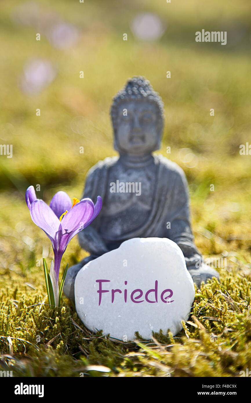 The word Friede with Buddha Statue Stock Photo Alamy