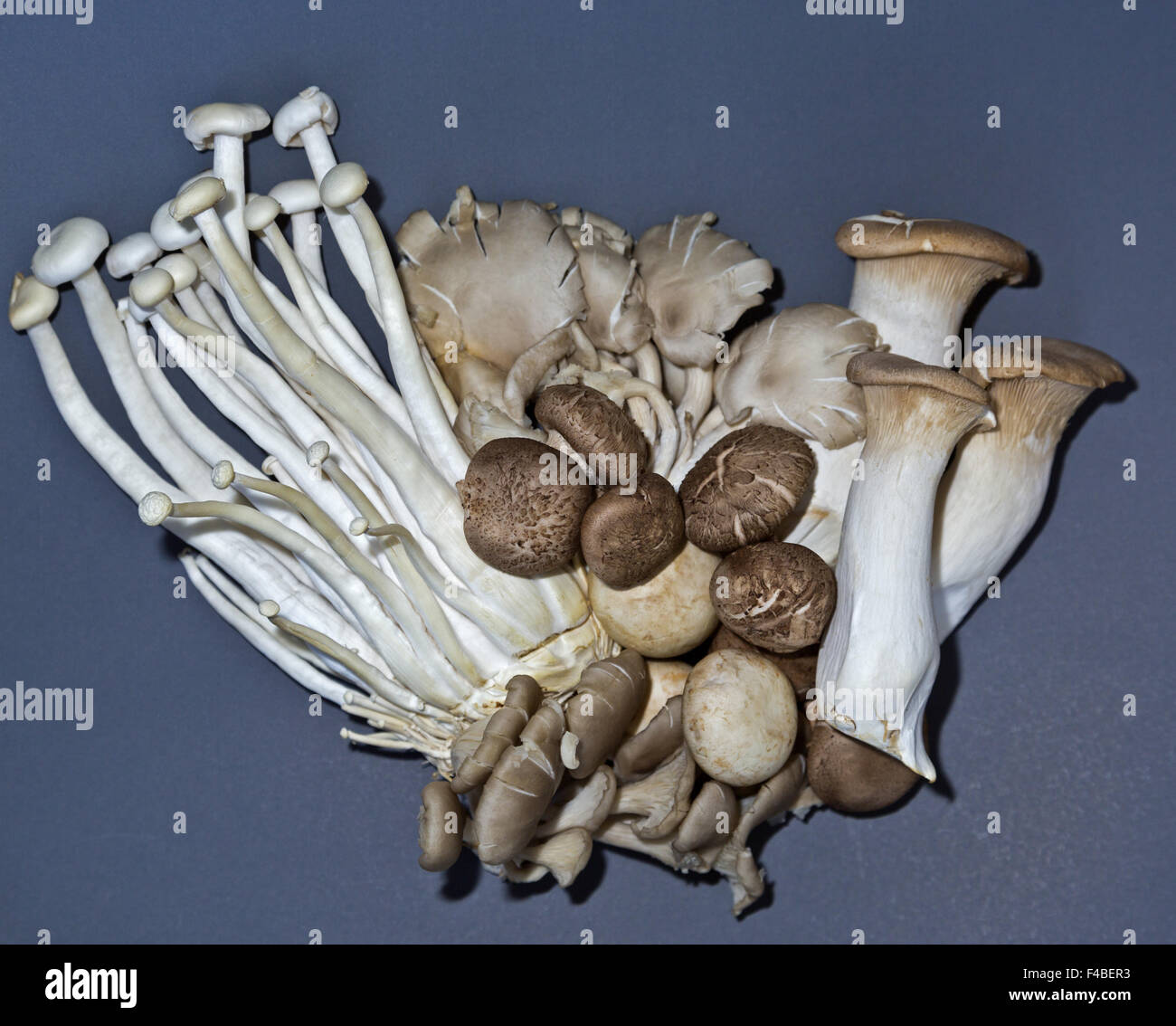Thailand mushrooms hires stock photography and images Alamy