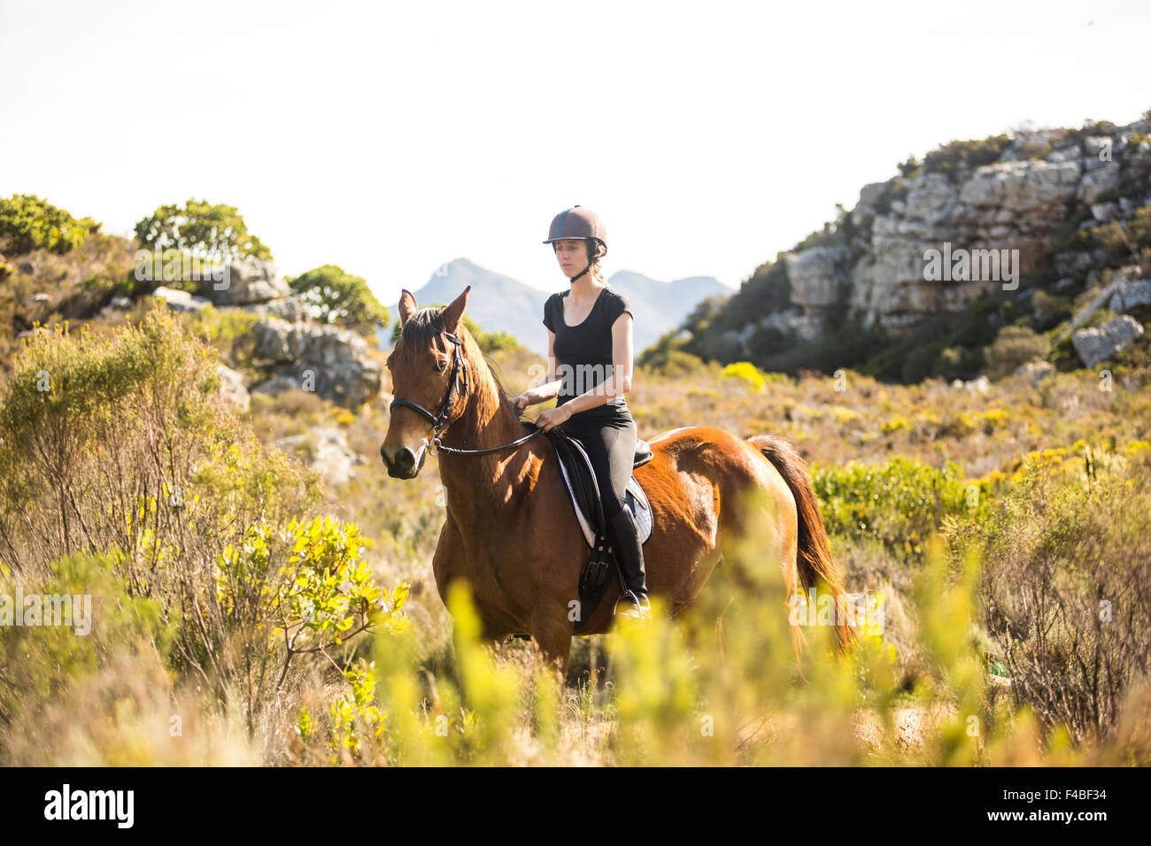 Young woman riding her horse Stock Photo - Alamy