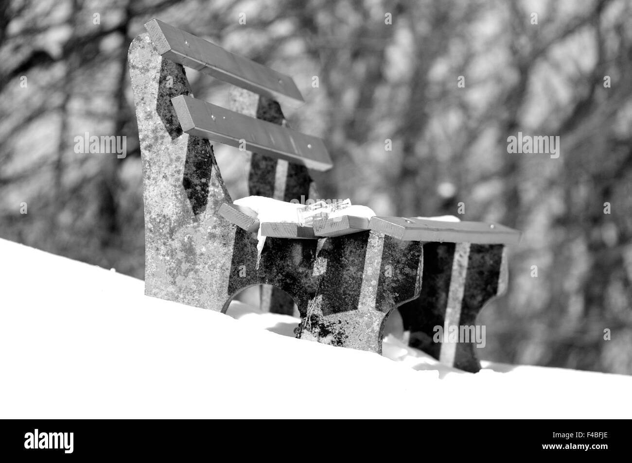 Park bench with bottle black and white Stock Photo