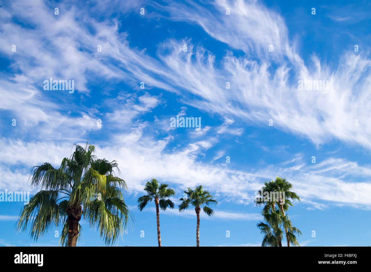 Cloud filled sky Stock Photo