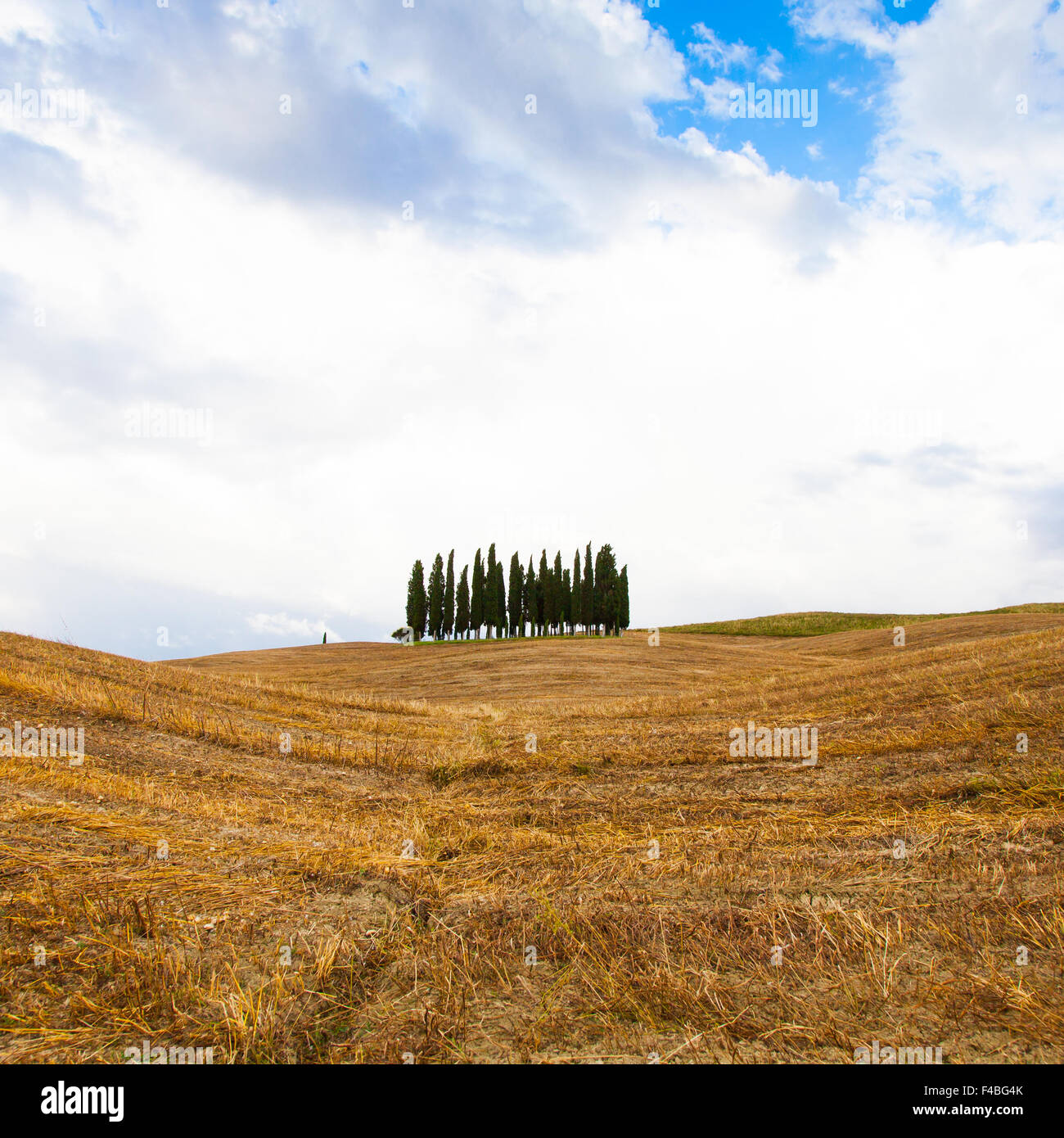 Tuscany before the storm Stock Photo - Alamy