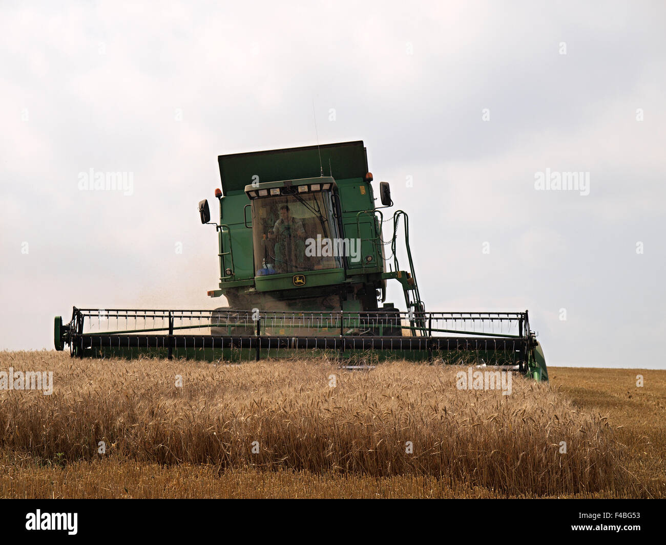 agricultural Stock Photo