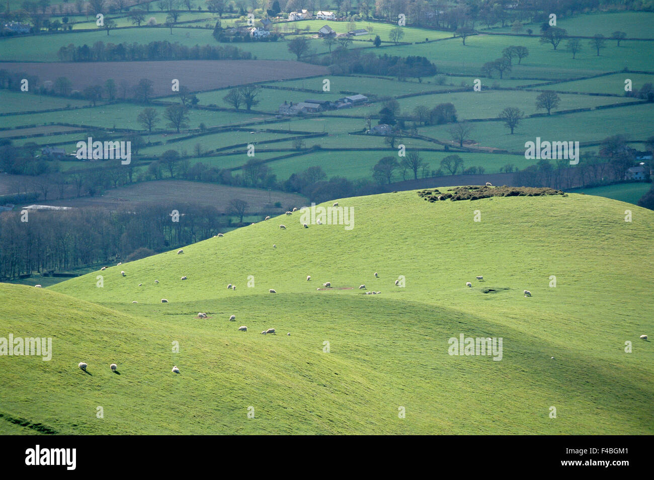 catalogue 2 color image Europe fantastic field Great Britain green hill horizontal journey landscape livestock meadow mountain Stock Photo