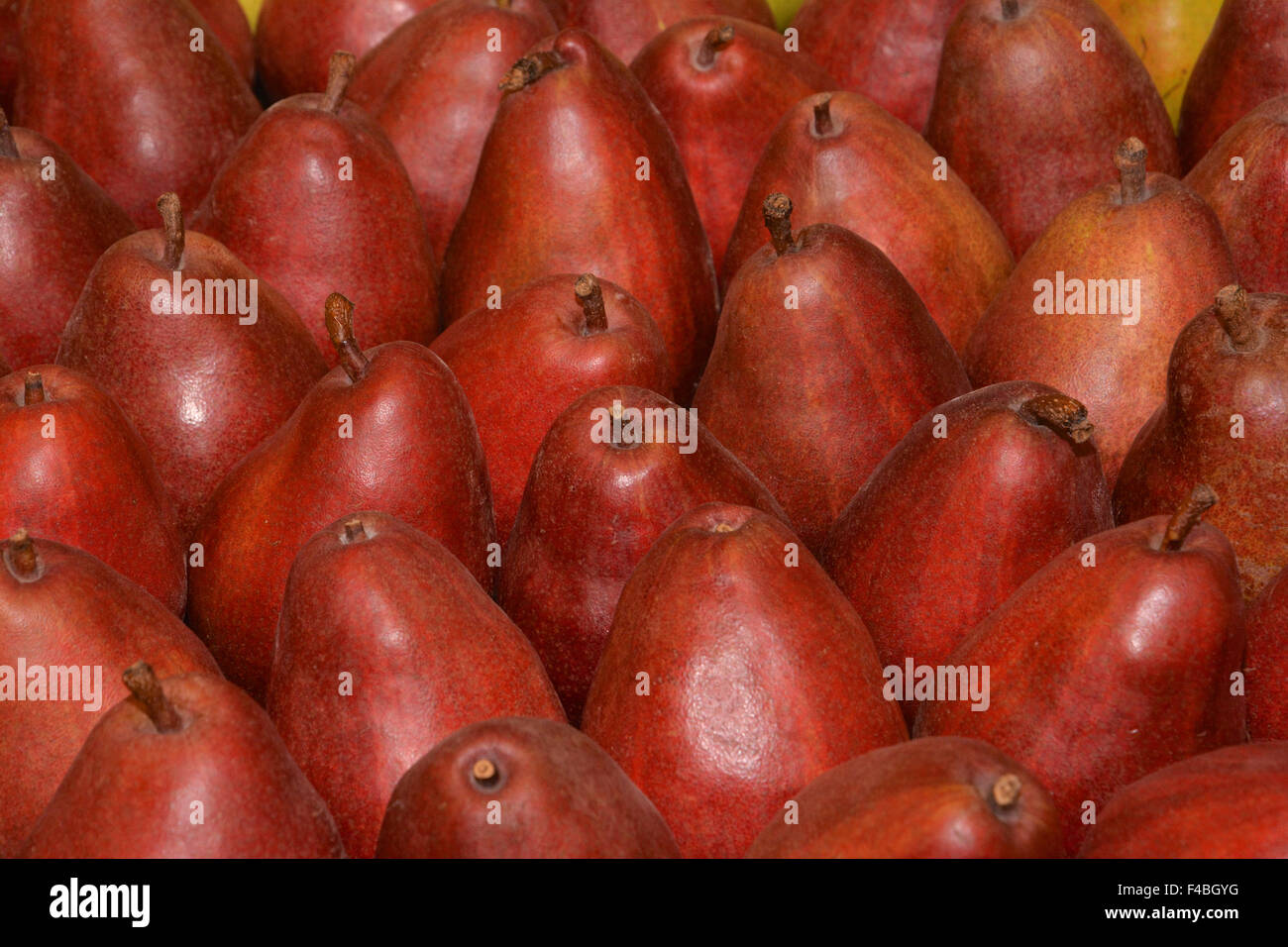 Red pears Stock Photo