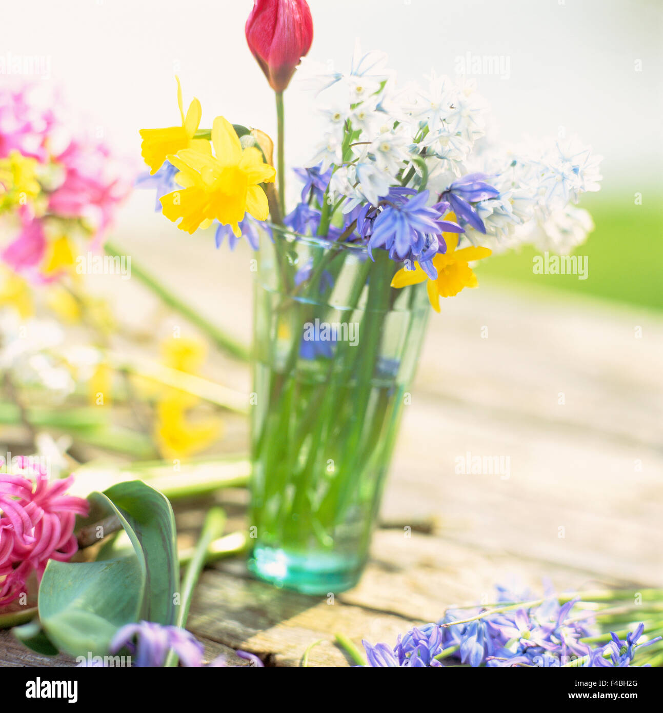 bouquet catalogue 2 color image flower plants square Swedish catalogue