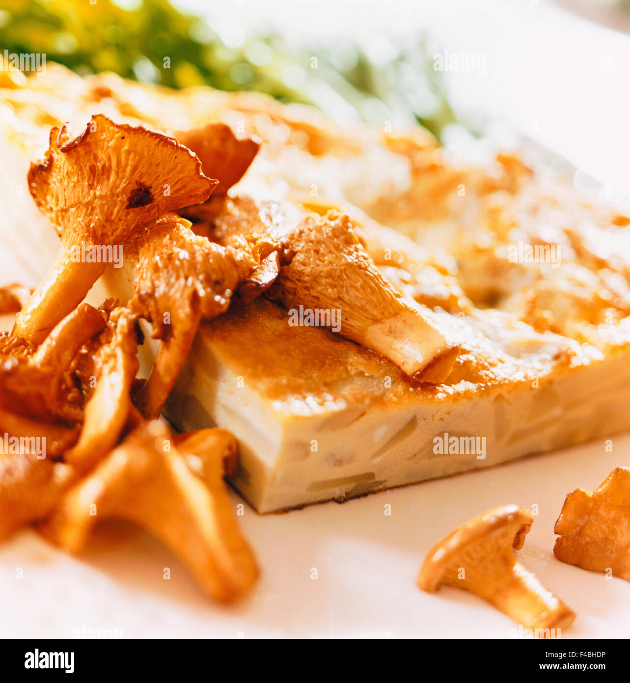 https://c8.alamy.com/comp/F4BHDP/catalogue-2-chanterelle-close-up-color-image-detail-dish-food-food-F4BHDP.jpg