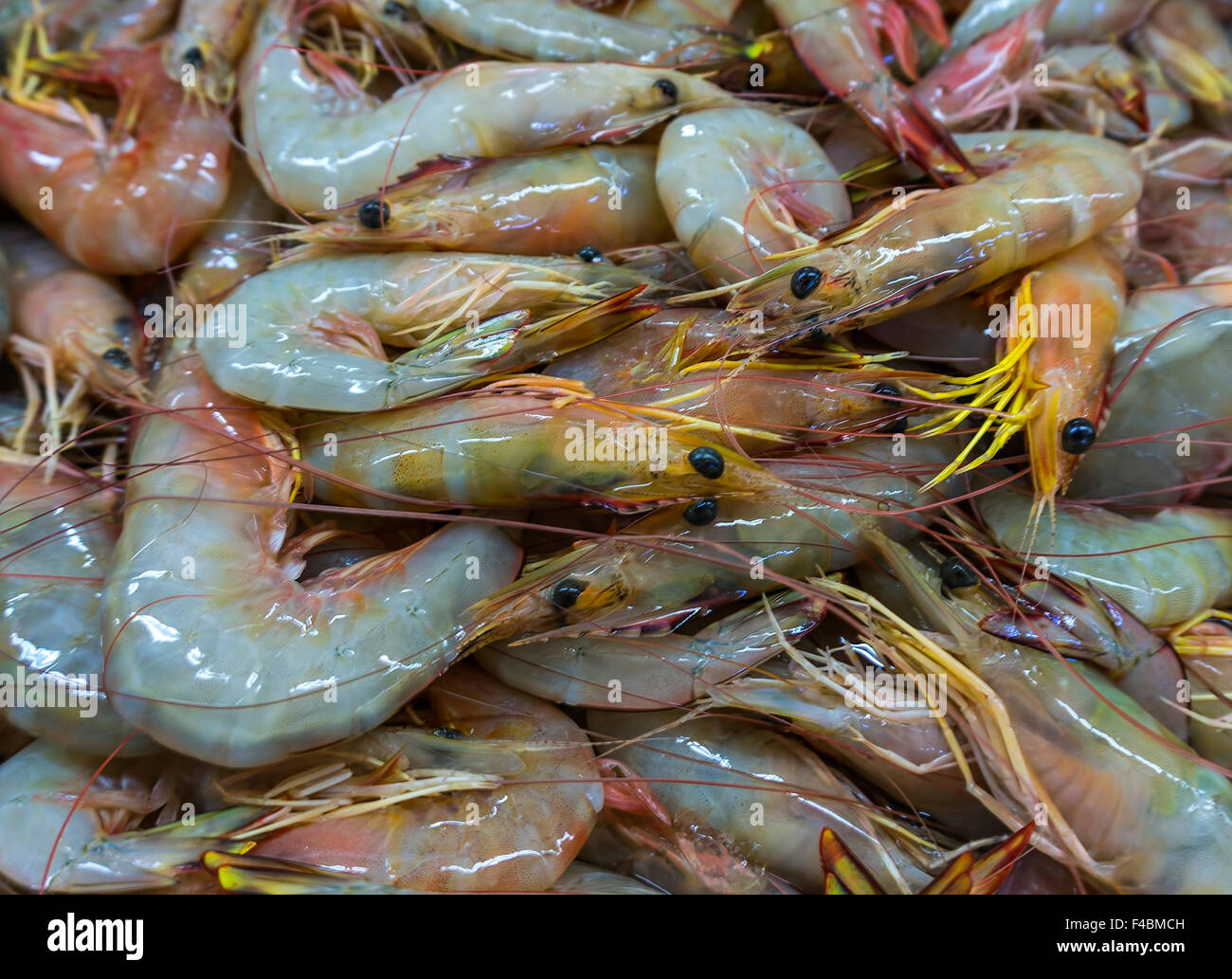 Jumbo shells hi-res stock photography and images - Alamy