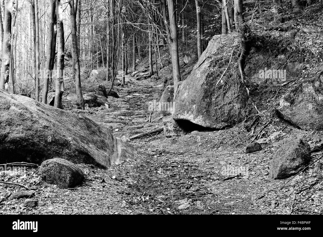 Trail of time hike Black and White Stock Photos & Images - Alamy