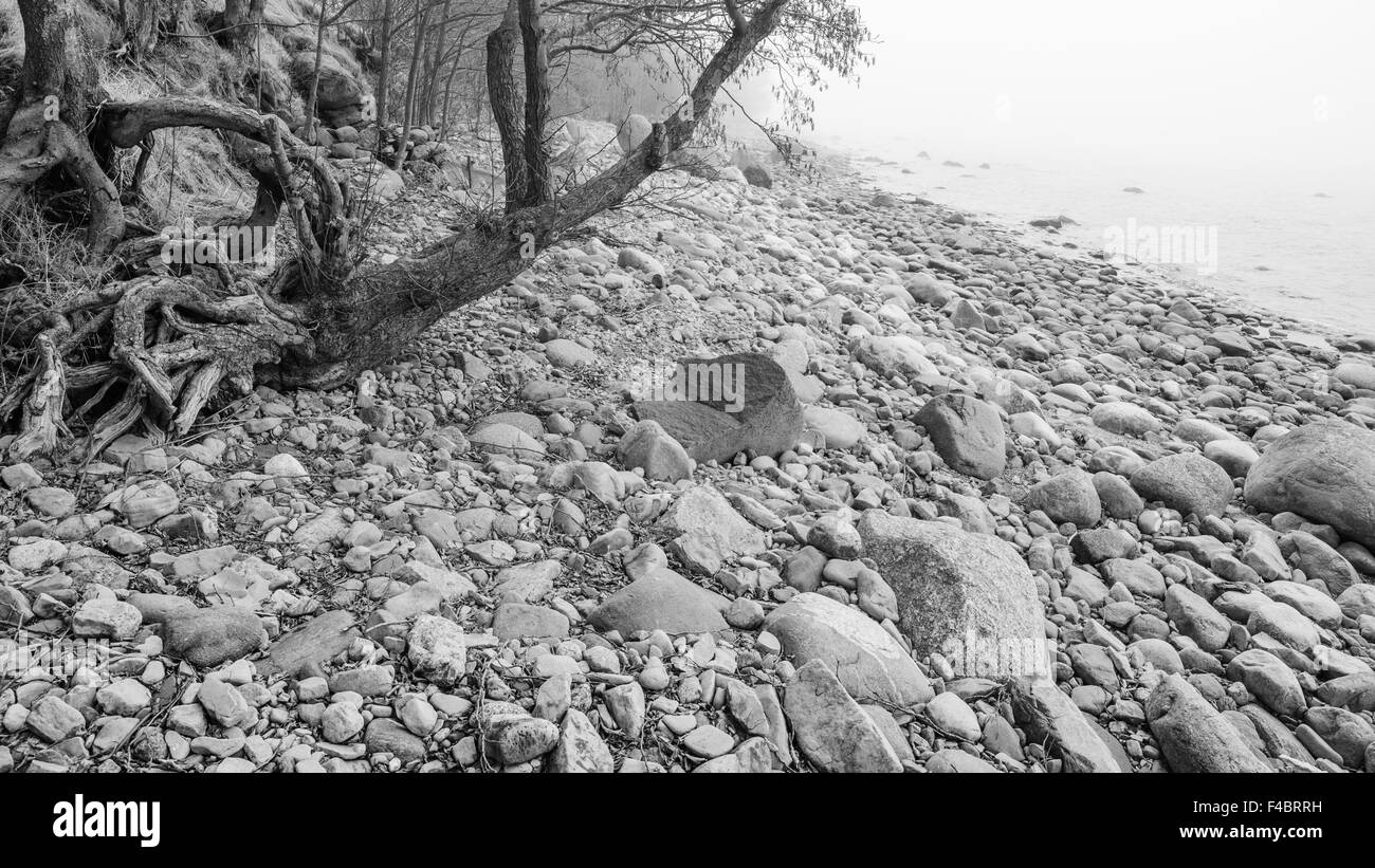 Baltic sea in the background blur Black and White Stock Photos & Images ...