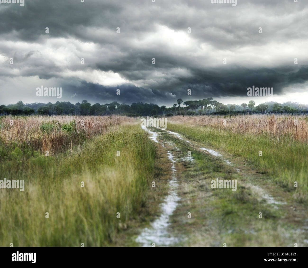 Empty road stormy weather hi-res stock photography and images - Alamy