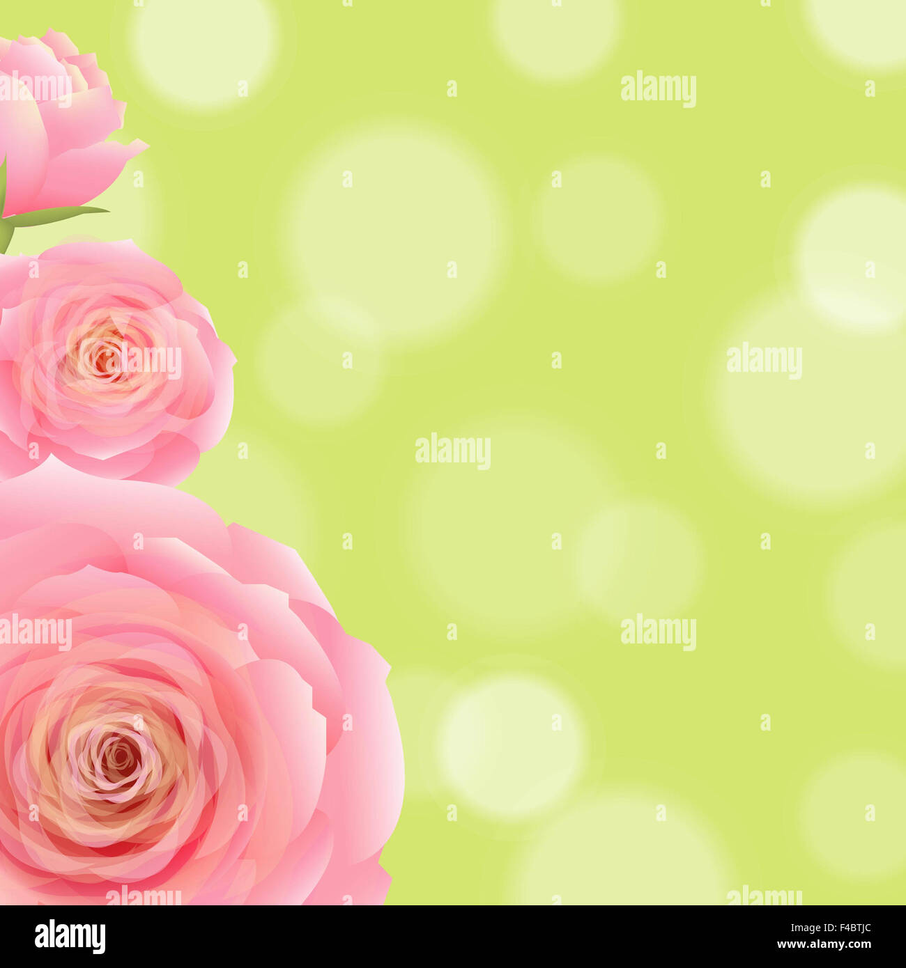 Pink Rose With Bokeh Stock Photo - Alamy