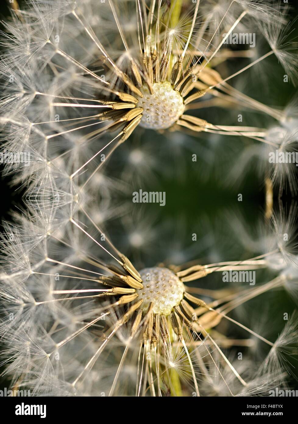 Vertically format hires stock photography and images Alamy