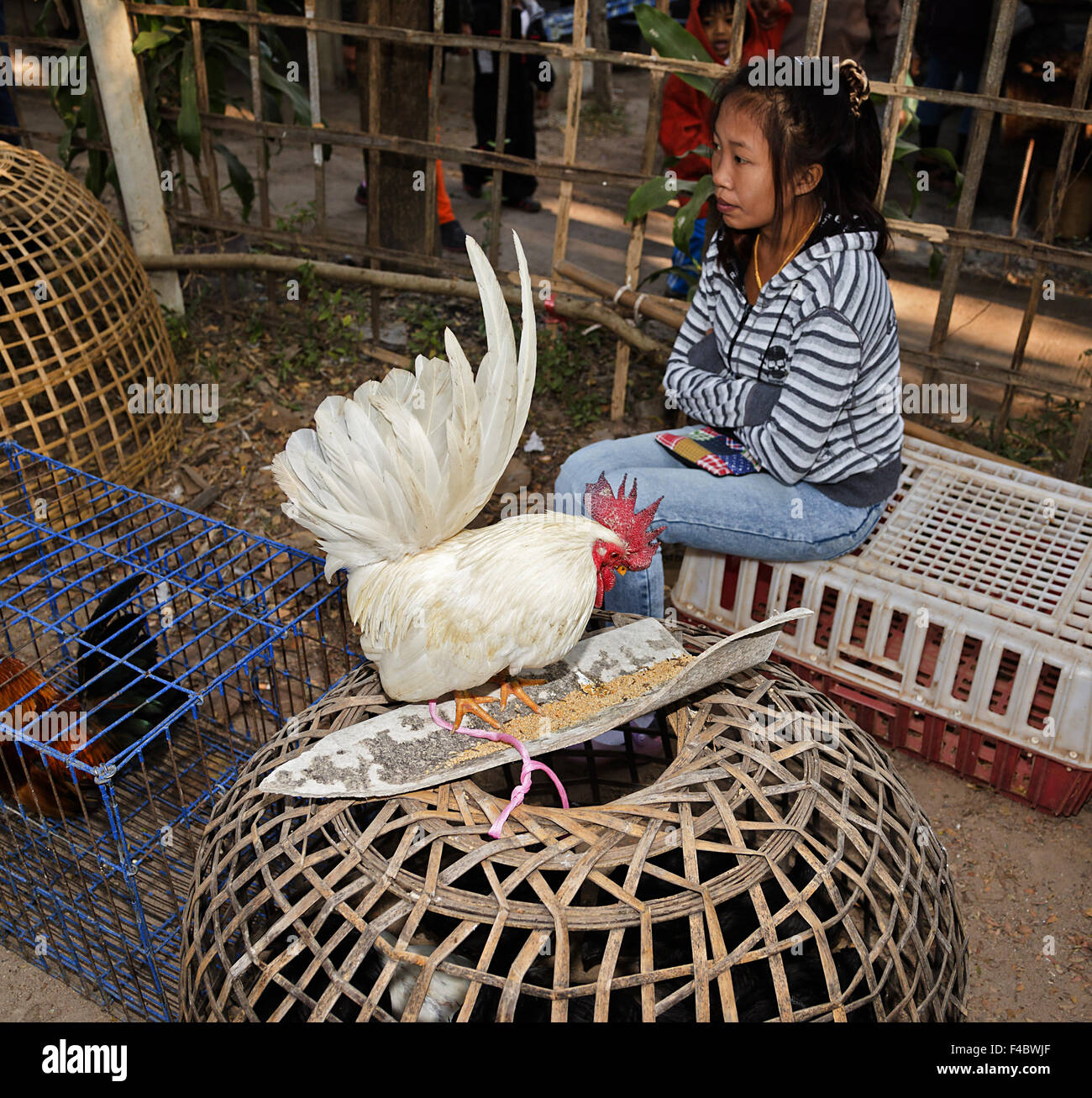 Poultry market hires stock photography and images Alamy