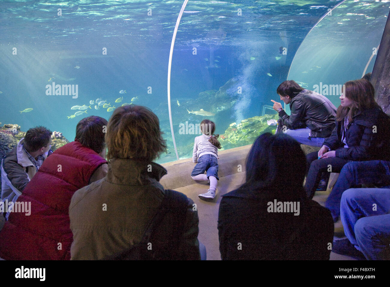 Sea Life Oberhausen Germany Stock Photo Alamy