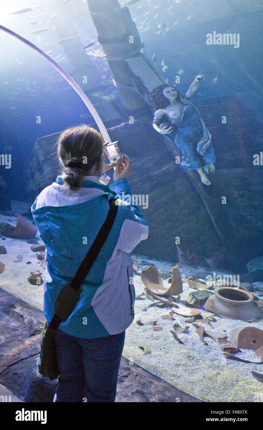 Sea Life Oberhausen Germany Stock Photo Alamy