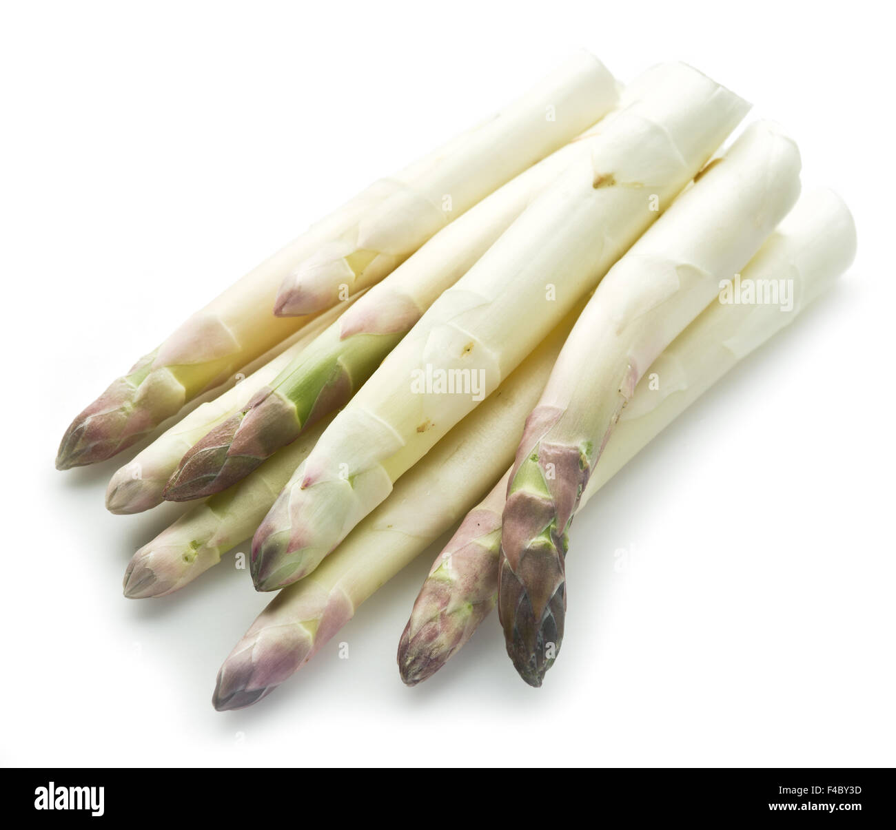 Shoots of white asparagus on the white background. Stock Photo