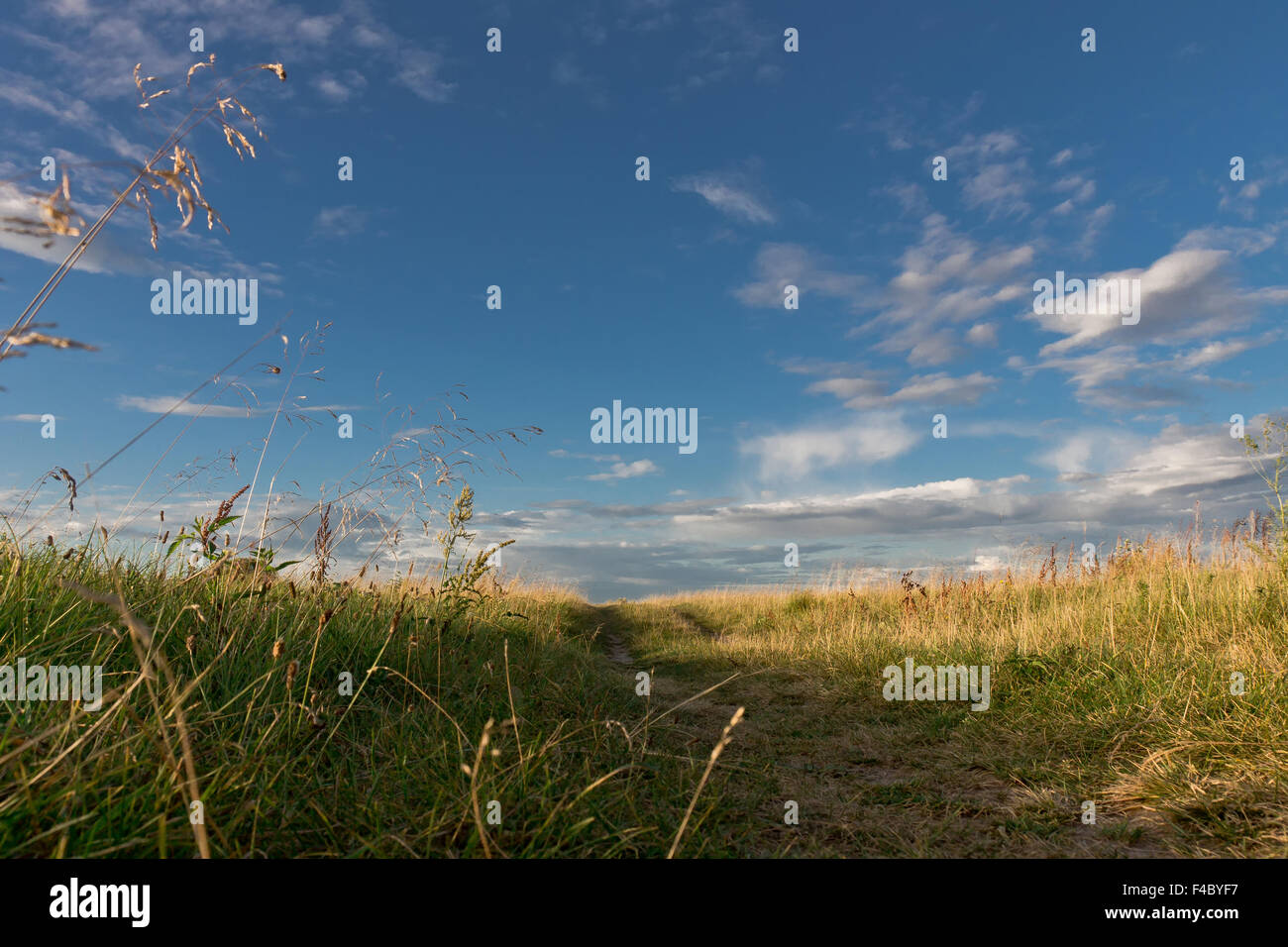 Field 4 hi-res stock photography and images - Alamy