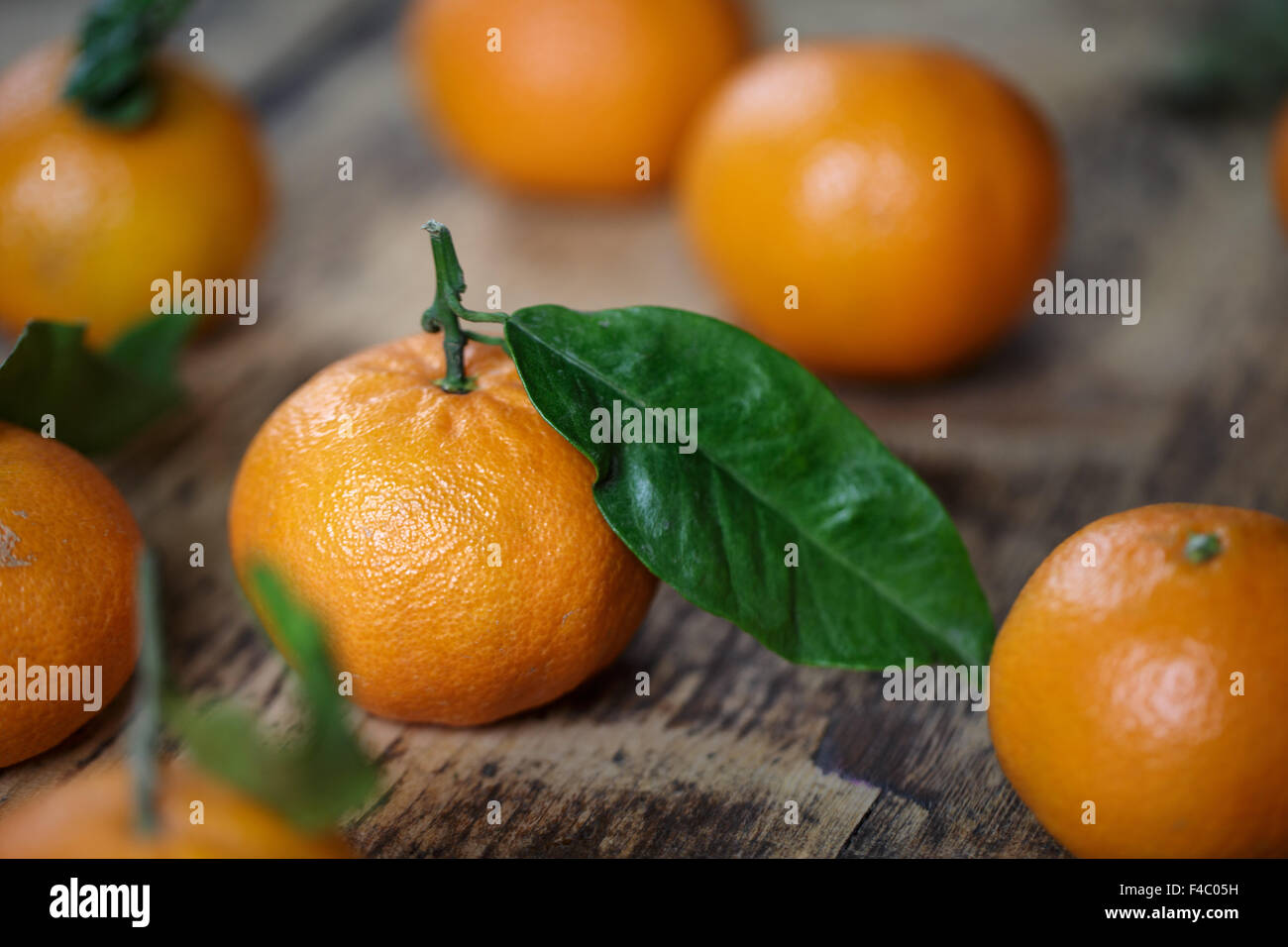 Fresh Mandarin Oranges Stock Photo Alamy