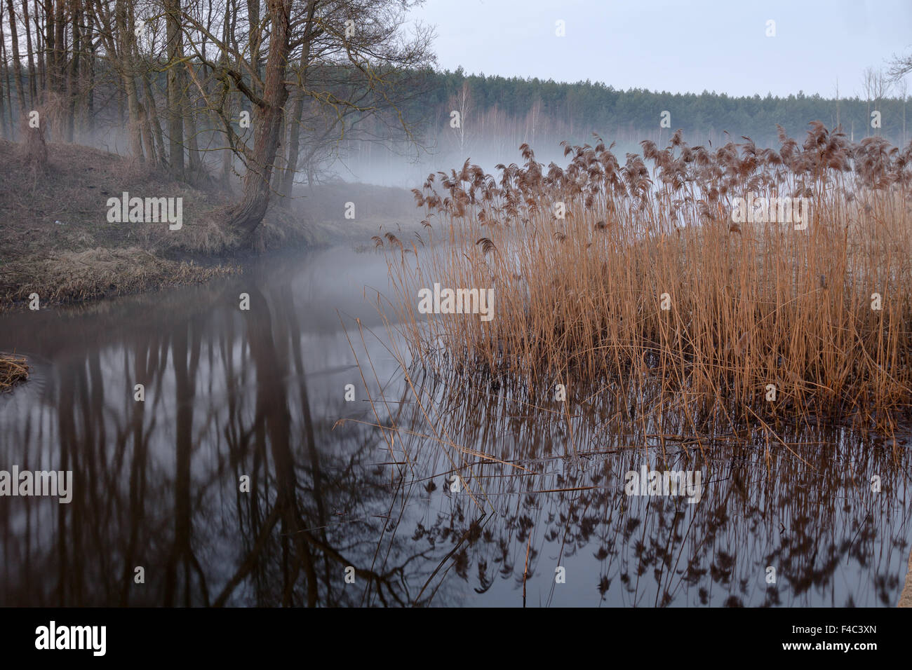 Peace and quiet hi-res stock photography and images - Alamy