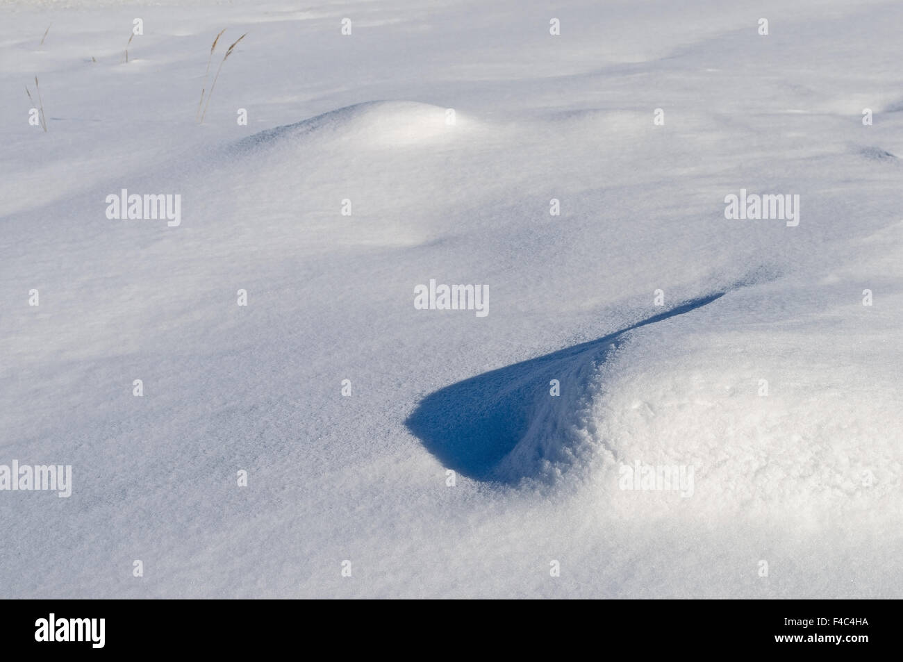 Snowdrift Stock Photo