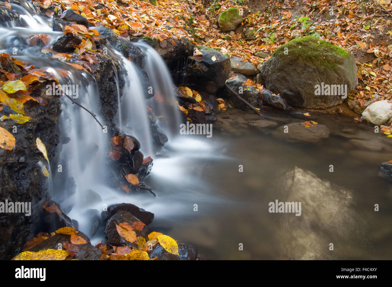 stream flowing among stones Stock Photo - Alamy