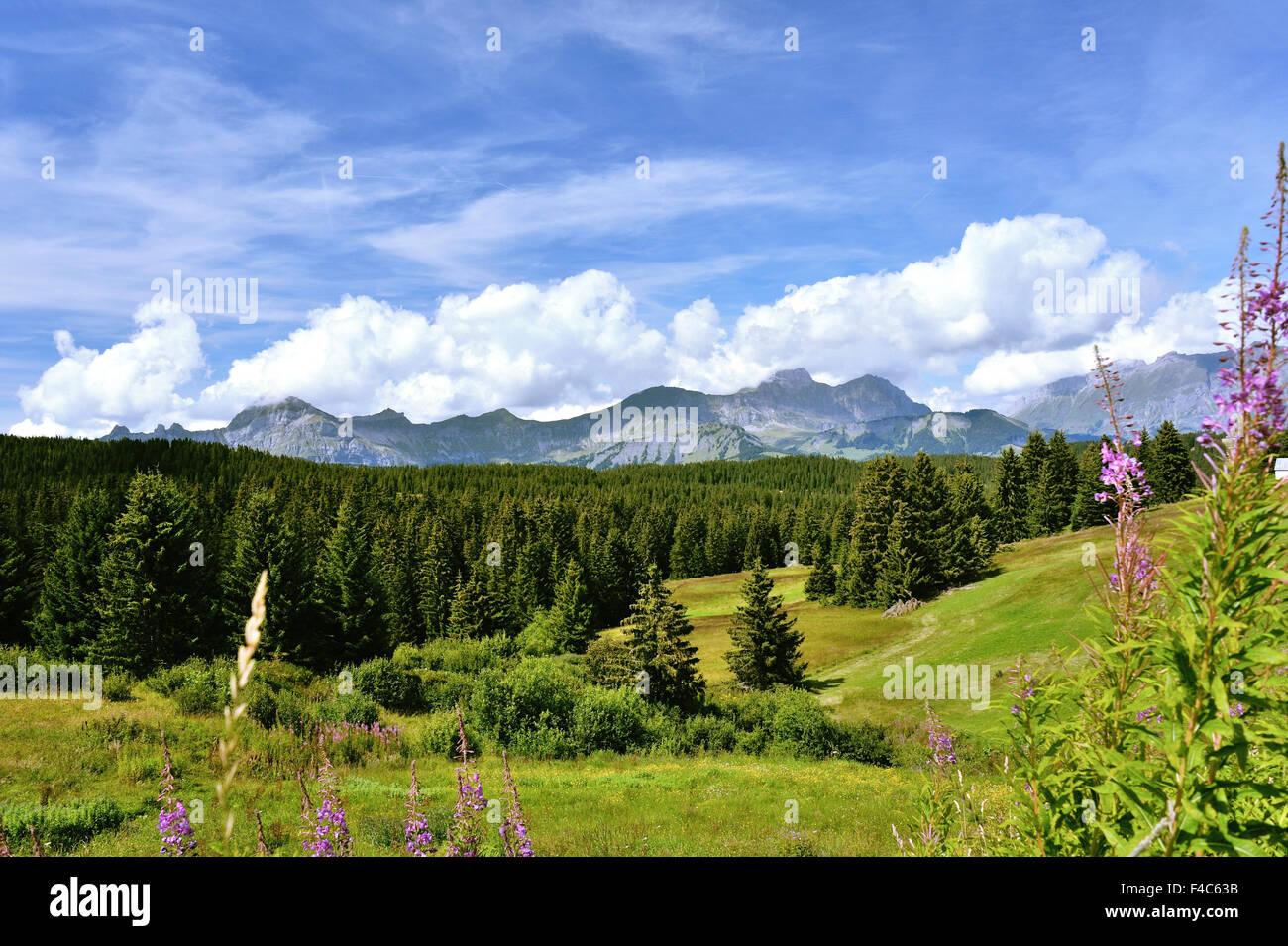 View to the Chaine des Aravis at Col des Saisies, pass of the Route des Grandes Alpes,  French Alps, France Stock Photo