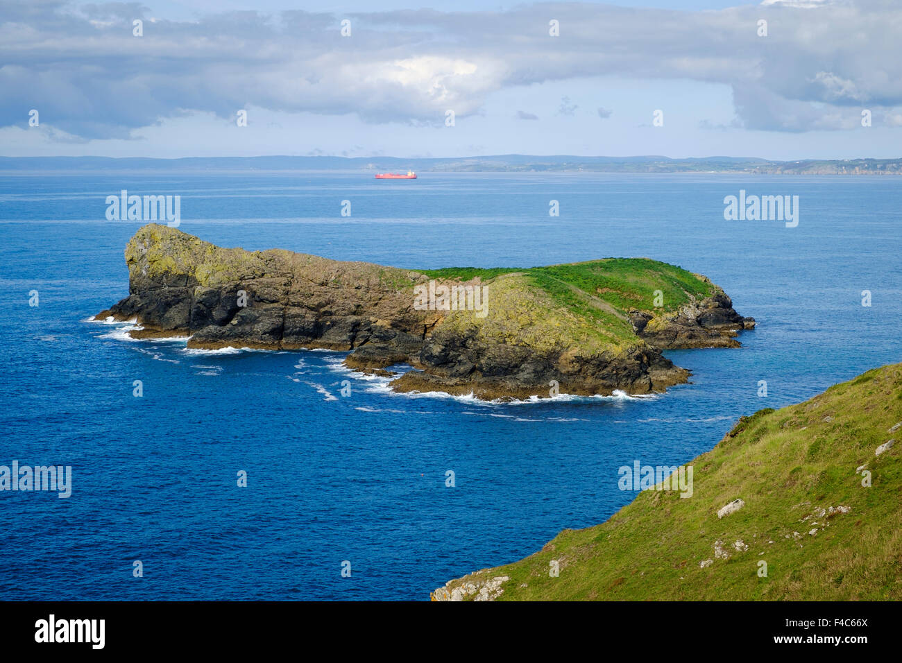 Mullion Island bird sanctuary, Mullion, Cornwall, England, UK - from the South West Coast path Stock Photo