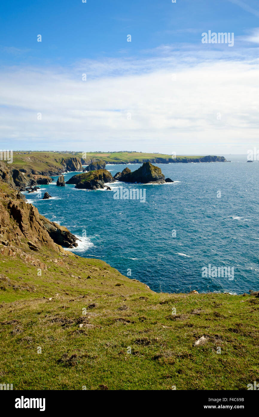 Cornish coast looking towards Kynance Cove and Lizard Point from the South West Coast Path, Cornwall, England, UK Stock Photo