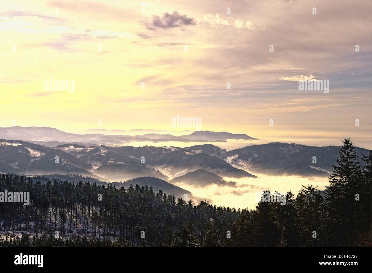 Dawn over the Black Forest of Germany Stock Photo - Alamy