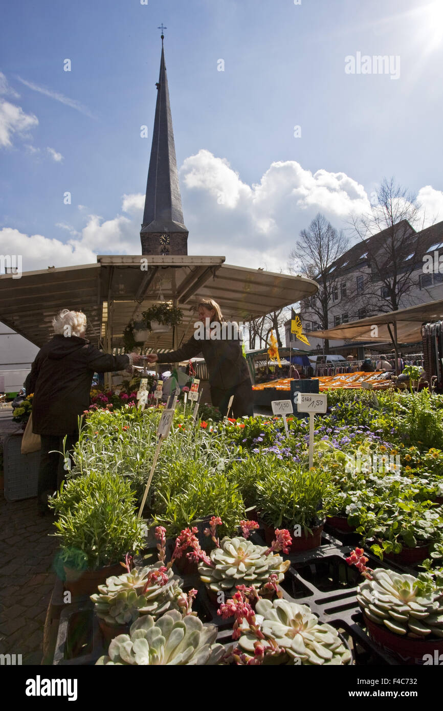 Weekly market, Schwerte, Germany Stock Photo - Alamy
