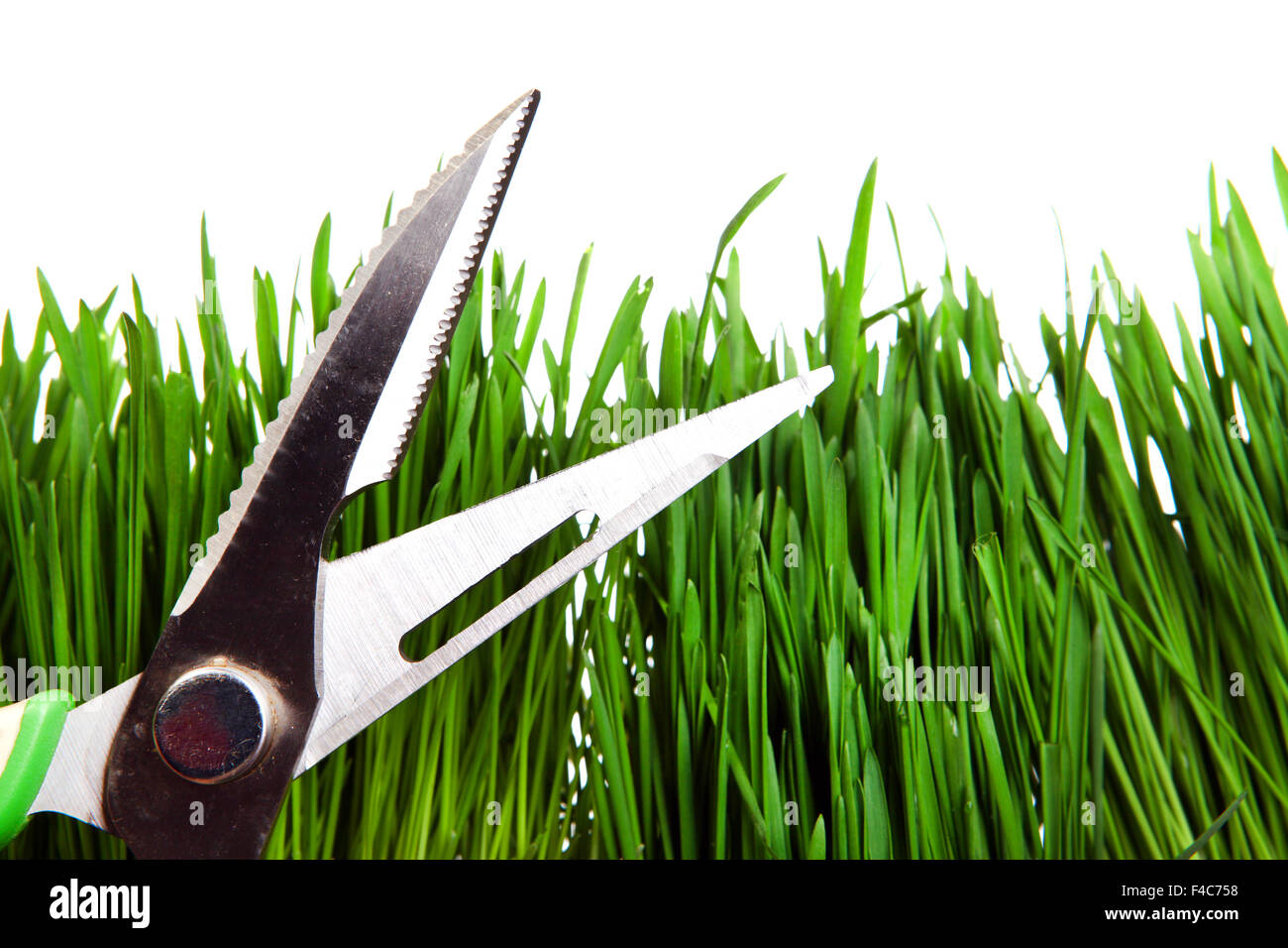 Shears on the Grass Stock Photo - Alamy