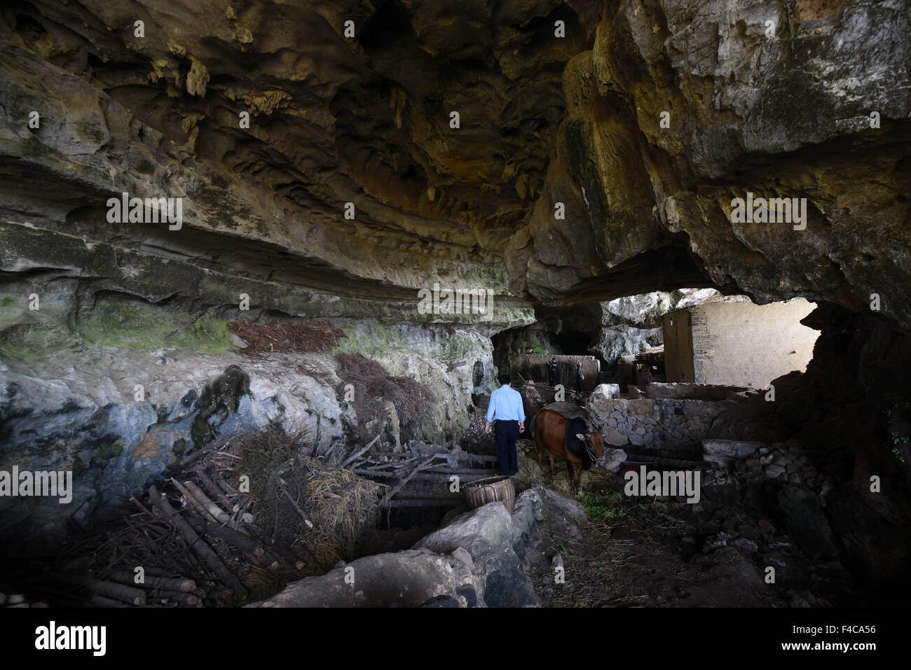 (151016) -- DAOXIAN, Oct. 16, 2015 (Xinhua) -- Photo taken on Oct. 16, 2015 shows the entrance of a cave where some tooth fossils were discovered at Daoxian County in central China's Hunan Province. Tooth fossils found in Daoxian indicate the early form of modern homo sapiens appeared in the region more than 80,000 years ago. The 47 fossils date back from 80,000 to 120,000 years and are believed to be the oldest remains of a completely modern form scientists have known in the east Asia region, the study's leading scientists said on Oct. 15, 2015.  (Xinhua/Li Ga) (yxb) Stock Photo
