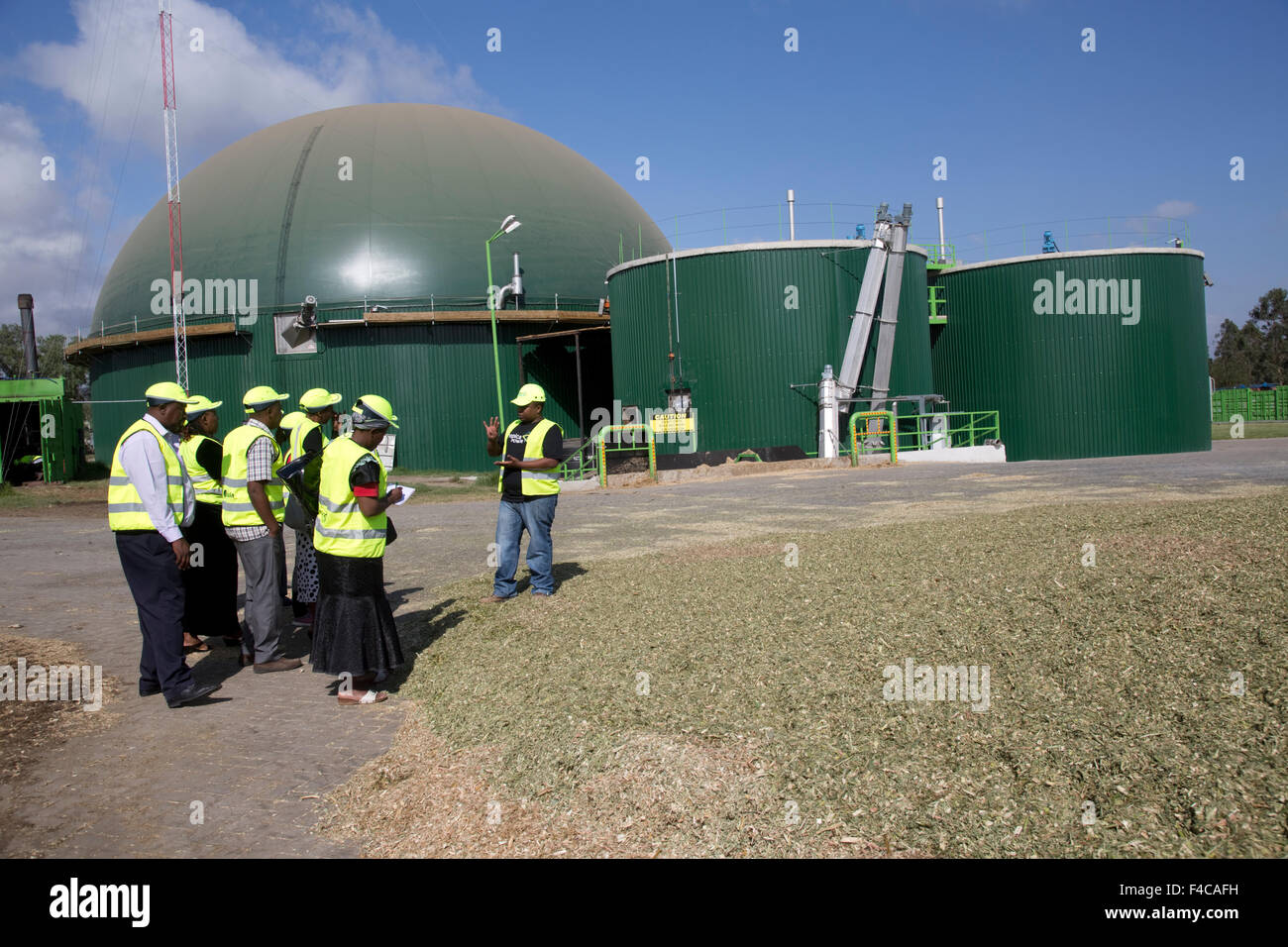 East African teachers visiting 2.4 MW Biojoule biogas CHP anaerobic digestion plant Gorge Farm Energy Park Lake Naivasha Kenya Stock Photo