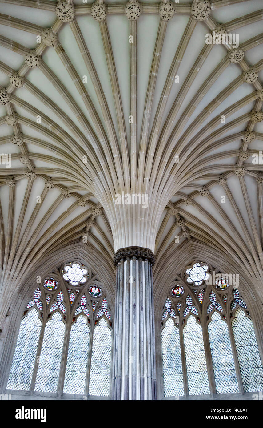 Wells Cathedral Chapter House High Resolution Stock Photography and ...