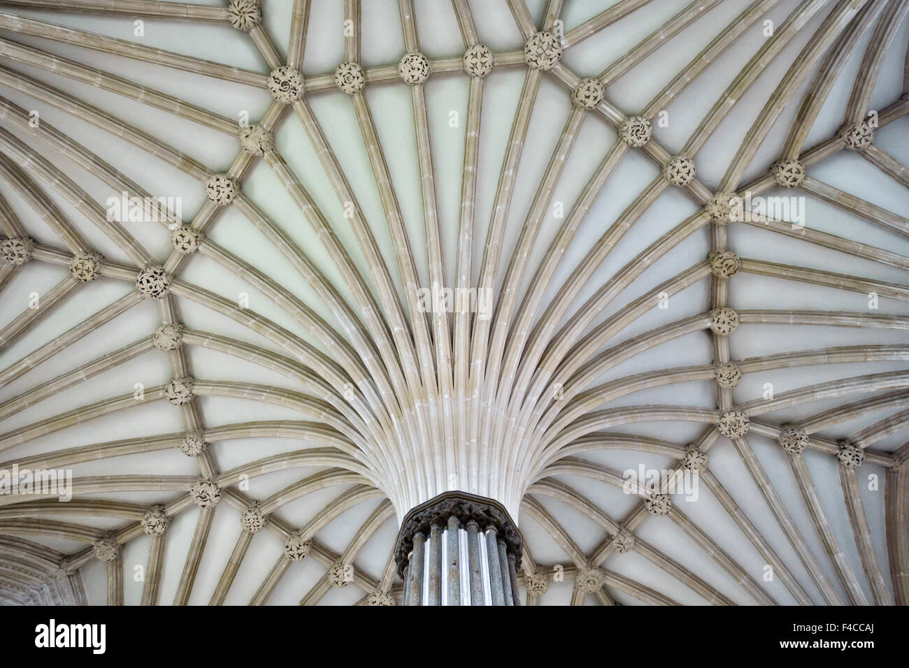 Chapter house ceiling cathedral cathedral hi-res stock photography and ...