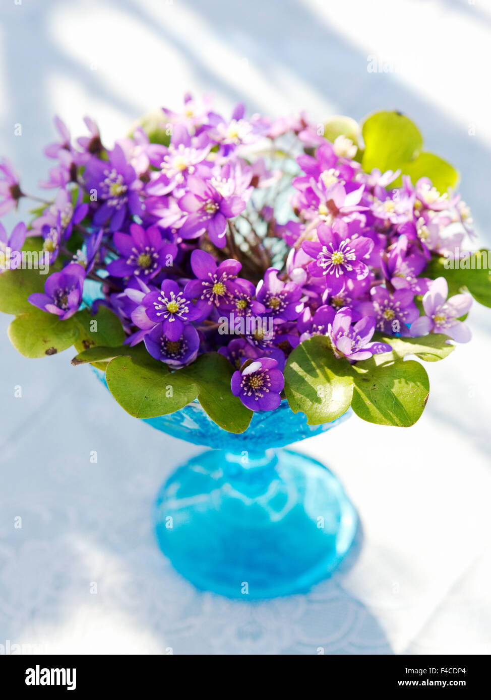 Blommor I Vas High Resolution Stock Photography and Images - Alamy