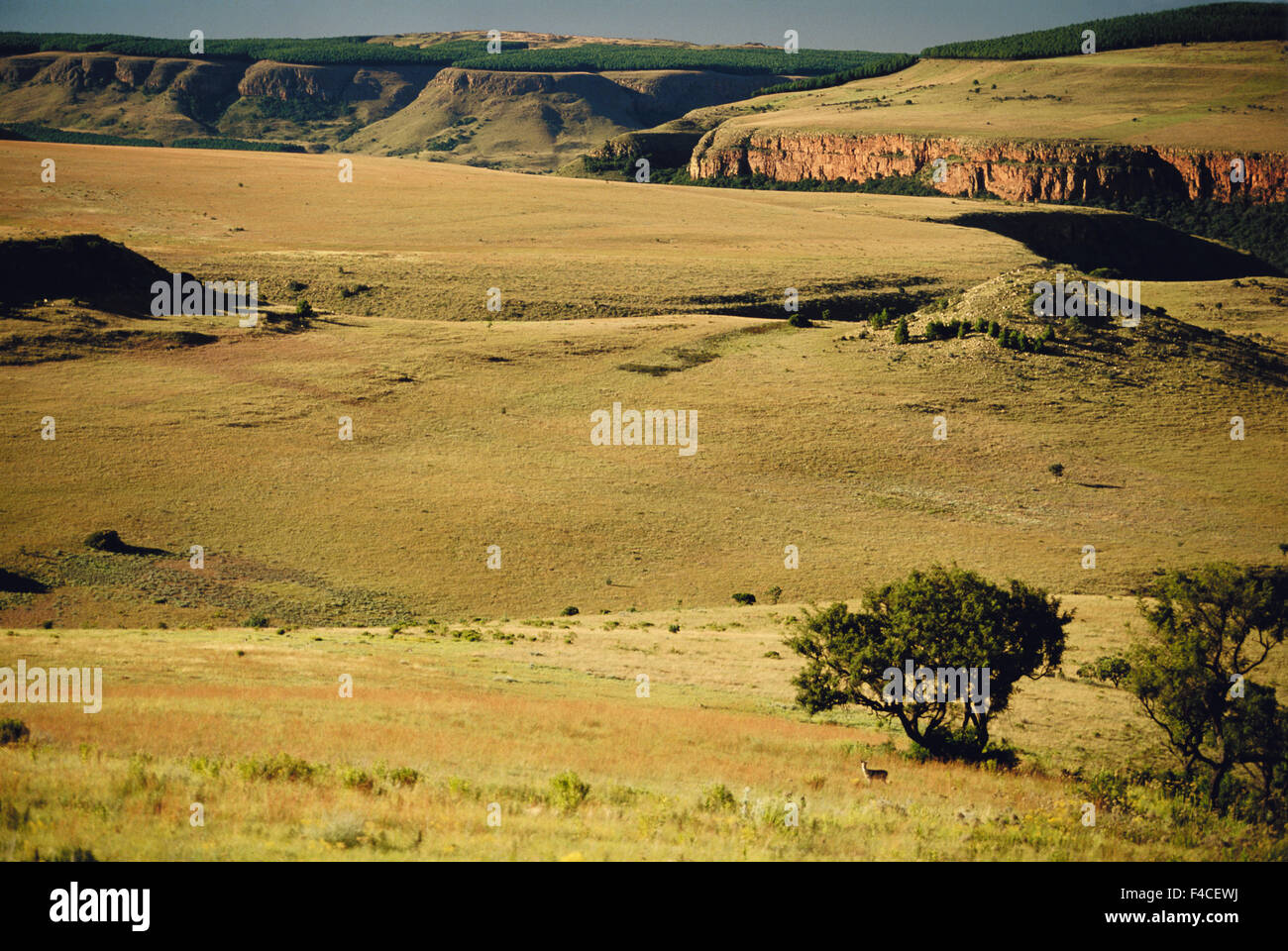 South Africa, Mpumalanga. Klein Drakensberg and landscape. (Large format sizes available) Stock Photo