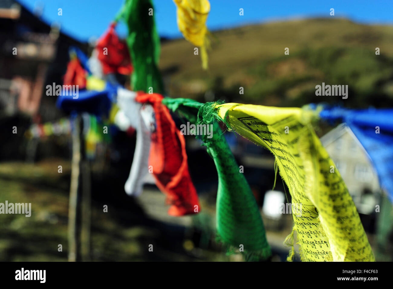 India, West Bengal, Singalila National Park, Tonglu, Buddhist prayer flags at entrance of the village Stock Photo