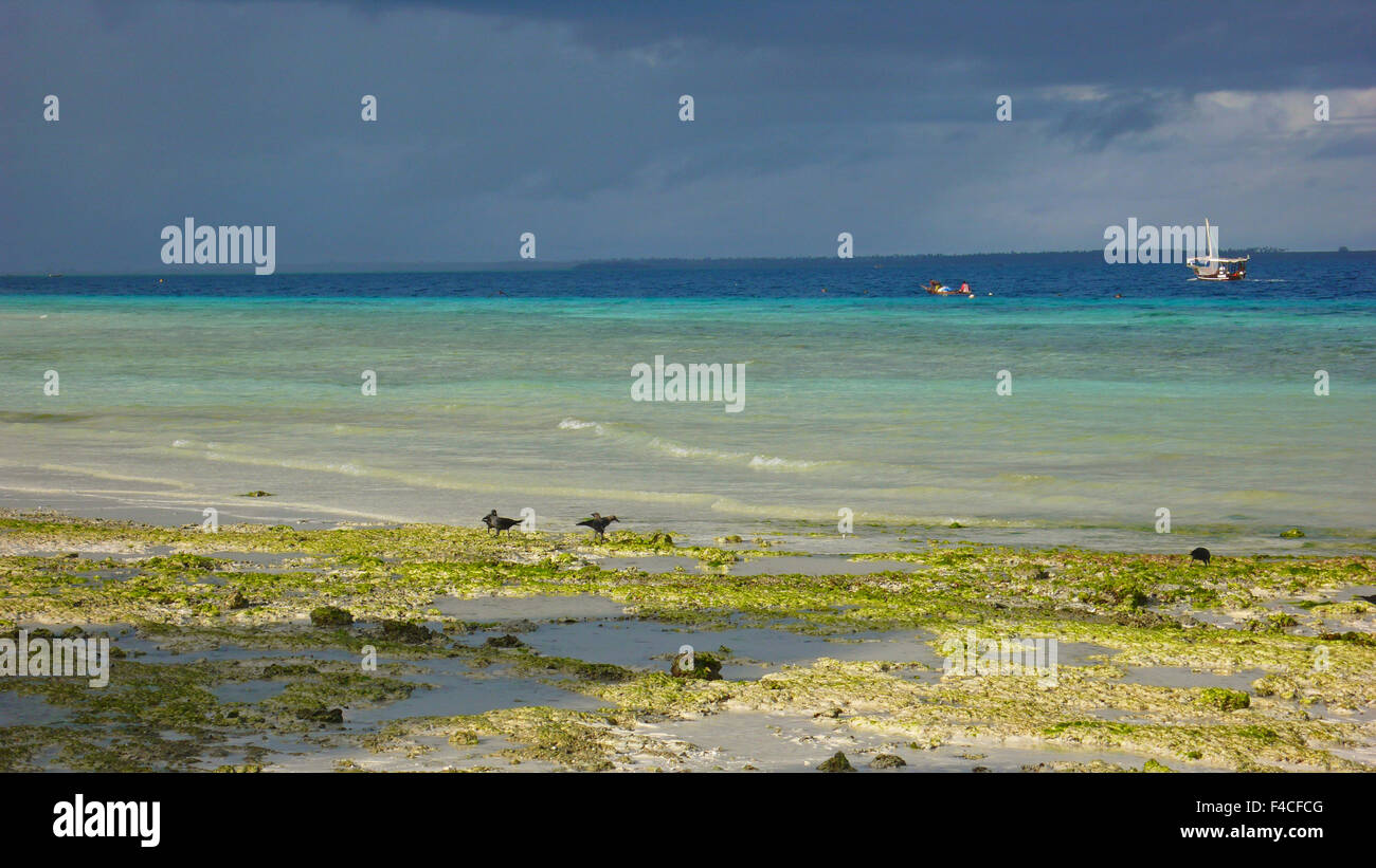 Tanzania Zanzibar Nungwi Scenic View At Low Tide Of White Beach With tanzania-zanzibar-nungwi-scenic-view-at-low-tide-of-white-beach-with