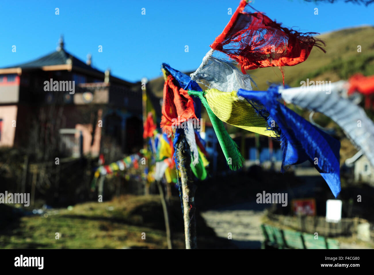 India, West Bengal, Singalila National Park, Tonglu, Buddhist prayer flags at entrance of the village Stock Photo