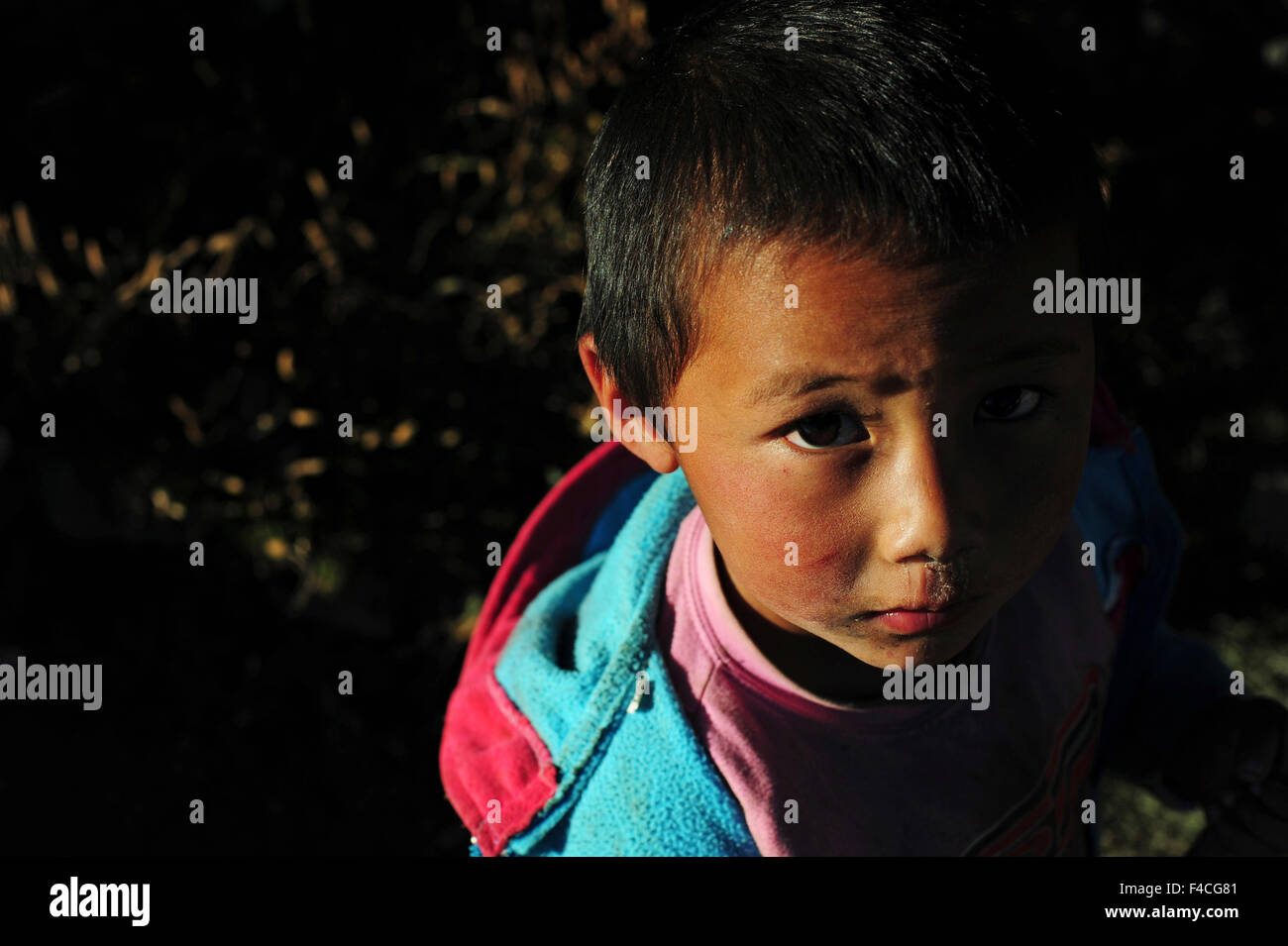 India, West Bengal, Singalila National Park, Tonglu, portrait of young boy at sunset Stock Photo