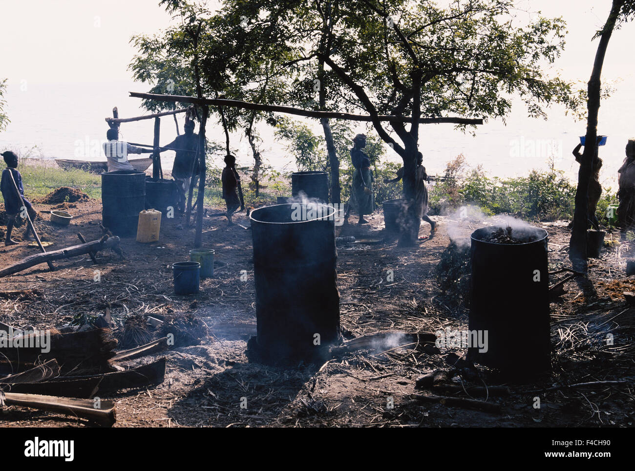 Tanzania, Villagers pressing oil palm nuts making palm oil for cooking
