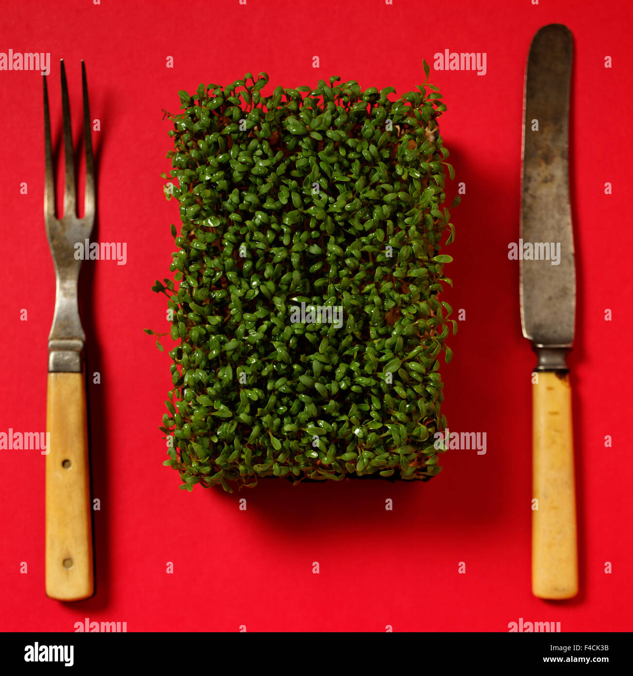 Still Life of Garden Cress with Knife and Fork. Stock Photo