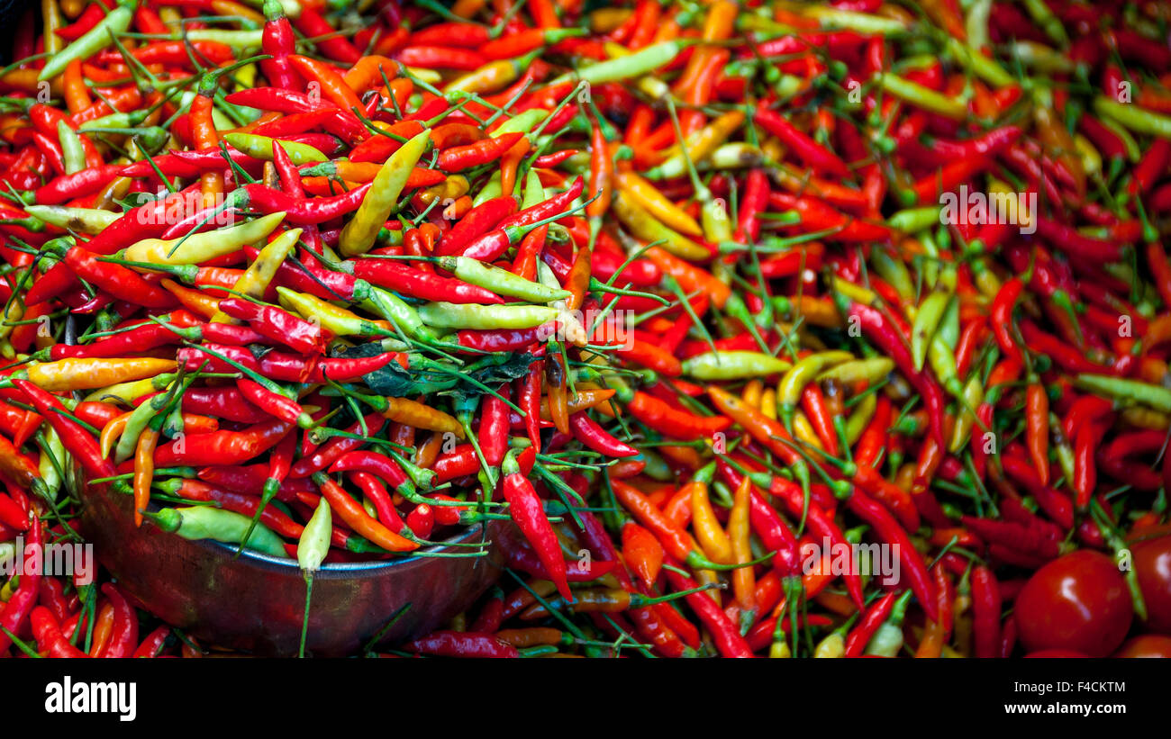 Lots of Chillies in red, orange and green Stock Photo