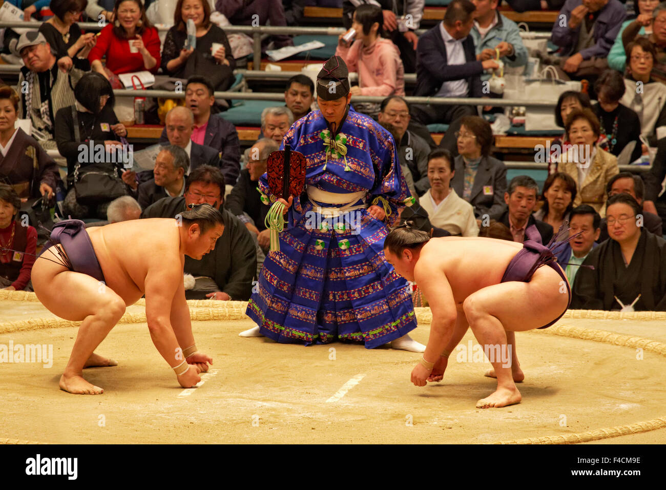 Asia, Japan, Osaka. Champion sumo wrestlers preparing for match. Credit