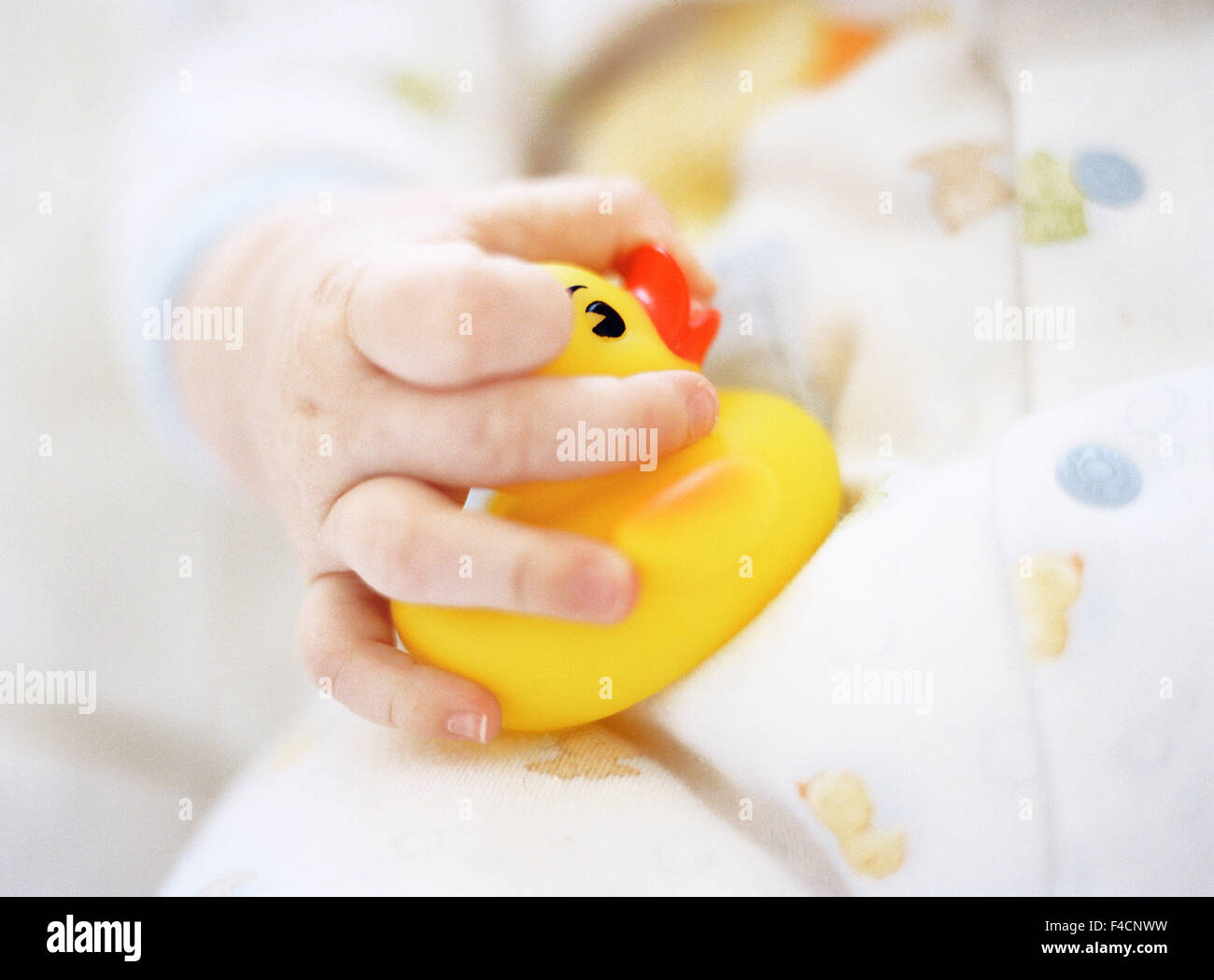 Baby Holding Rubber Duck. Stock Photo