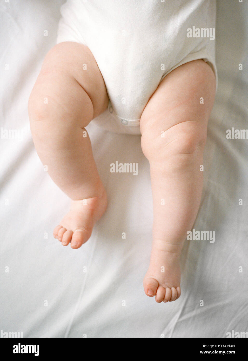 Legs of a baby. Stock Photo