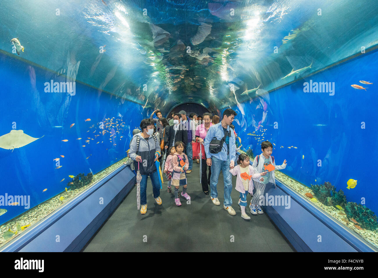 Japan Osaka Osaka Aquarium Kaiyukan Large Format Sizes Available Stock Photo Alamy Japan Osaka Osaka Aquarium Kaiyukan Large Format Sizes Available Stock Photo Alamy